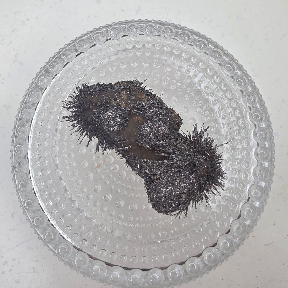 Magnetiitti specimen